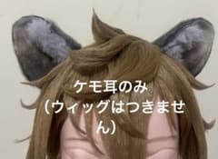 ツイステッドワンダーランド ラギーブッチ コスプレ ウィッグに付ける