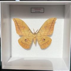 m65338714229_1.jpg?1707699786