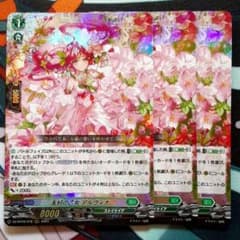 ヴァンガード 友好の乙女 アルヴィナ RRR 3枚 - メルカリ