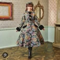 m66079090001_1.jpg?1766592794