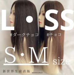 真2026新世界 人毛100%ウィッグ シルクスキン 医療ウィッグ フル