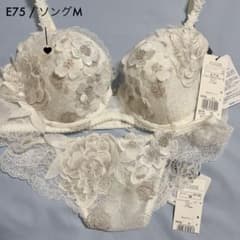 ワコール トレフル Trefle 58 鏡の回廊 ブラ ソング E75 M - メルカリ