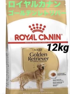 賞味期限☆最新 ロイヤルカナン ゴールデンレトリバー 12kg