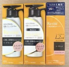 リライズ 白髪用髪色サーバー リ・ブラックふんわり仕上げ本体2本替え