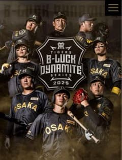 m61236933572_1.jpg?1754786016