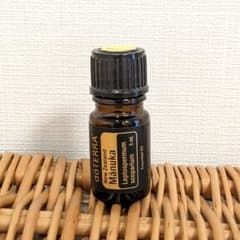 m61239278073_1.jpg?1717632649