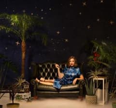 VIDEOTAPEMUSIC 世界各国の夜 2LP レコード - メルカリ