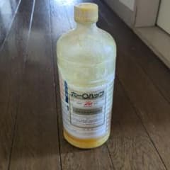 m62297391962_1.jpg?1749261695