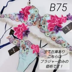 m63169437547_1.jpg?1761568307