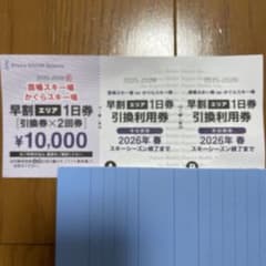 かぐらスキー場 苗場スキー場 早割エリア1日券 引換券×2回券 - メルカリ