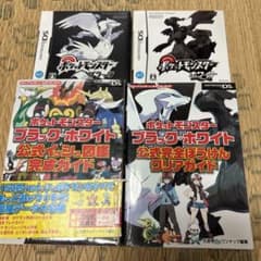 m14524054488_1.jpg?1728819316