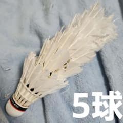 バドミントン 中古シャトル ヨネックス ニューオフィシャル 使用済