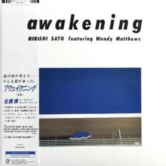 佐藤博 アウェイクニング 覚醒 Awakening アナログ盤 2LP レコード