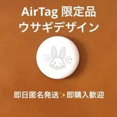 即日匿名発送】Apple AirTag うさぎ刻印 2023初売りモデル 希少 - メルカリ