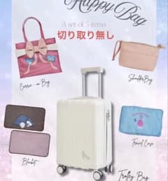 HAPPY BAG ちはる しまむら シンデレラ キャリーケース ディズニー