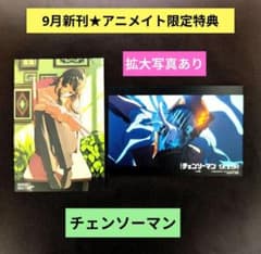 m19609254437_1.jpg?1757080243