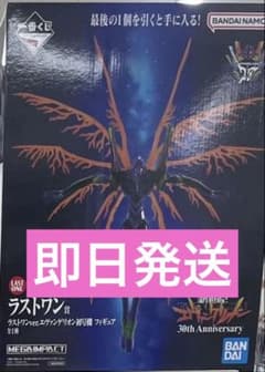 一番くじ エヴァンゲリオン 30th ラストワン賞 ラストワンver. - メルカリ