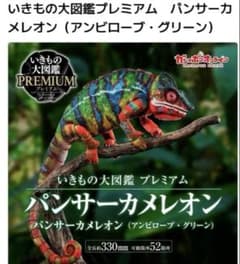 いきもの大図鑑プレミアム パンサーカメレオン アンビローブ・グリーン