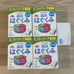 森永 はぐくみ エコらくパック 800g 4箱＋400g1つ - メルカリ