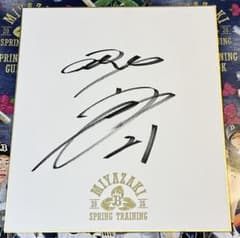 山崎 颯一郎 オリックスバファローズ 直筆サイン色紙 春季キャンプ