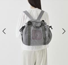 紀ノ国屋 保冷付きレジカゴリュック モーニンググレーエコバッグ