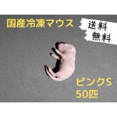 国産冷凍マウス ピンクS 50匹（送料無料一部地域発送不可) - メルカリ