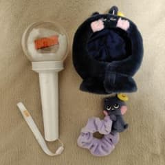 RIIZE ウォンビン トニャンドクペンライトカバー シュシュ ペンライト