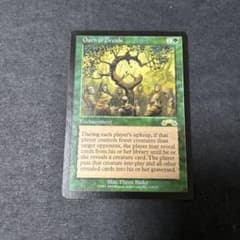 ドルイドの誓い Oath of Druids 4枚 英語 - メルカリ