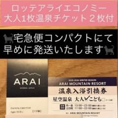 ARAI ロッテアライスキー場 エコノミー 温泉付 アライ スノボ スキー