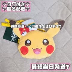 ポケパーク カントー ピカチュウ カーニバル ぬいぐるみ ポシェット