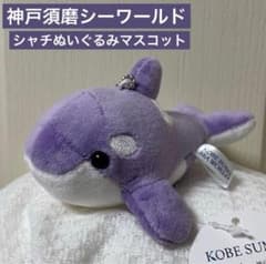 m37967132157_1.jpg?1762171668