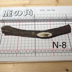 鹿の角 N-8 1本 兵庫県産 鹿角 鹿のツノ しかつの - メルカリ