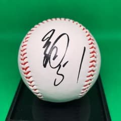 m33728273823_1.jpg?1633527703