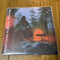 Bialystocks / Songs for the Cryptids LP - メルカリ