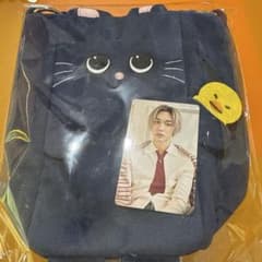 RIIZE ウォンビン FANLIGHTバッグ 6000円＋トレカ - メルカリ