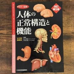 カラー図解 人体の正常構造と機能 【全10巻縮刷版】改訂第5版 - メルカリ