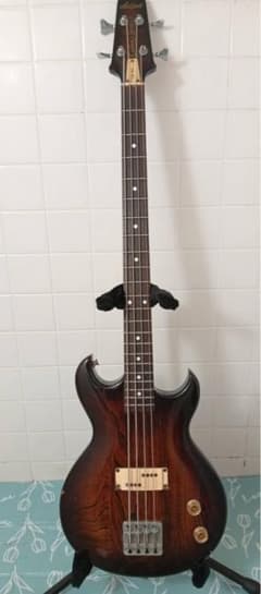 Aria Pro Ⅱ / CSB-450 - メルカリ