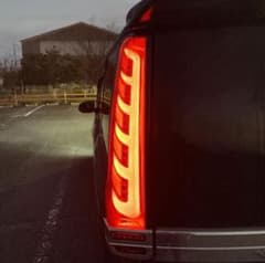 m78603528423_1.jpg?1709724995