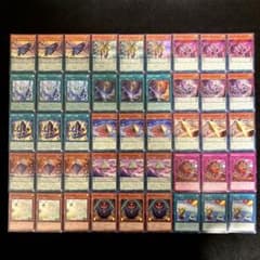 m71362985256_1.jpg?1756116588