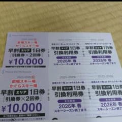 苗場スキー場 かぐら1日券 引換券 2枚綴り 2セット リフト券 - メルカリ