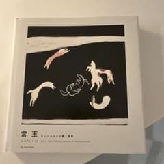 Y*O様 常玉(SANYU)1895-1966 モンパルナスの華人画家 - メルカリ