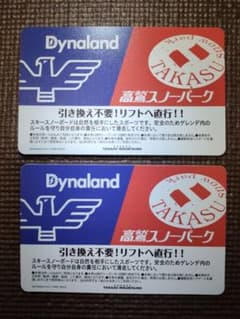 高鷲スノーパーク・ダイナランド 共通1日リフト券【大人2枚】 - メルカリ