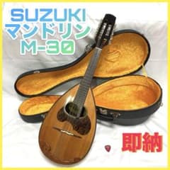 即納】SUZUKI M-30 マンドリン 本体 ハードケース ピック - メルカリ