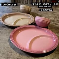 ル・クルーゼ マルチオーバルプレート大2枚、ライスボウル2客セット