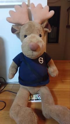 m89678798262_1.jpg?1735555608