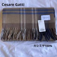 はむすたー様専用Cesare Gatti チェザーレ ガッティ☆カシミヤストール