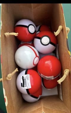 未開封】ポケパークカントー ピンバッチ未開封10個+プレミアボール +