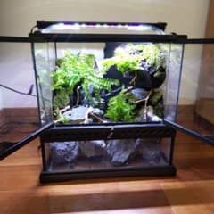 m94675757629_1.jpg?1749193265