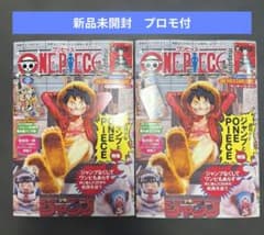 ワンピースマガジン 20号 2冊セット プロモ付き - メルカリ