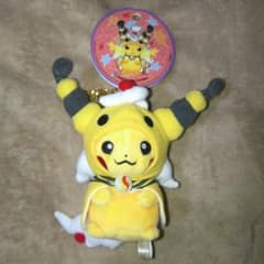ポケモンセンター限定 ポンチョを着たピカチュウ メガデンリュウ タグ